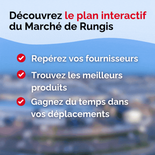 Cliquez ici pour découvrir